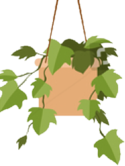 BG 1