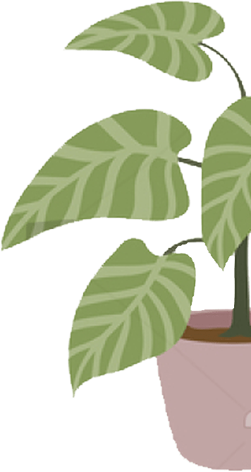 BG 2